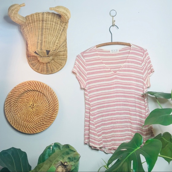 Pink Rose Tops - Pink Rose Cream Swing Babydoll Tee